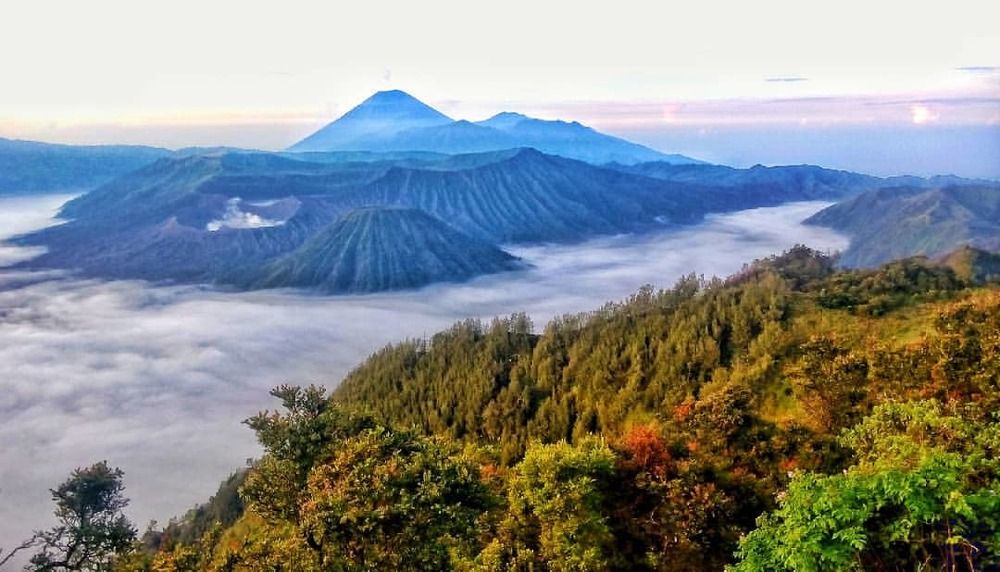Bromo