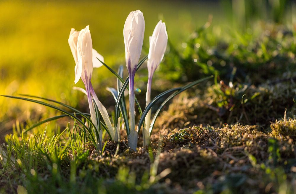 Пробуждение...