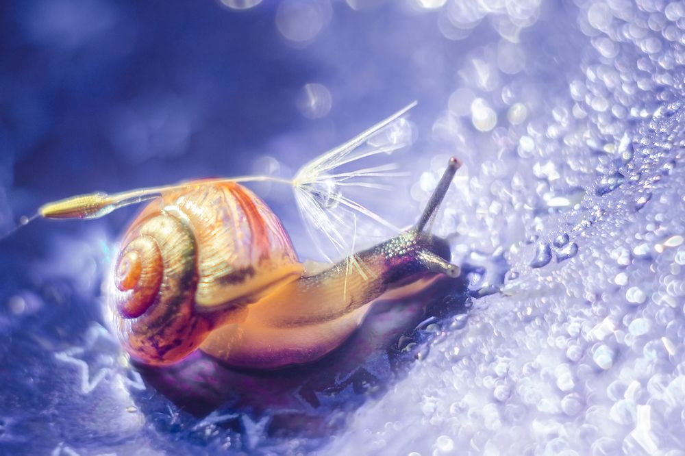 Гламурненько!