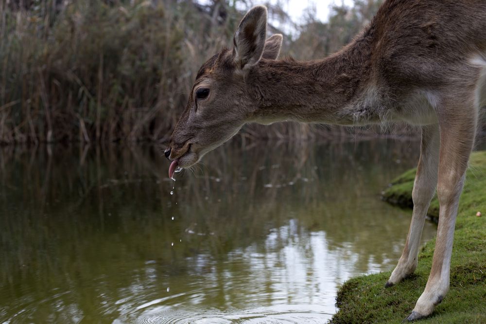 don't pollute my source of life