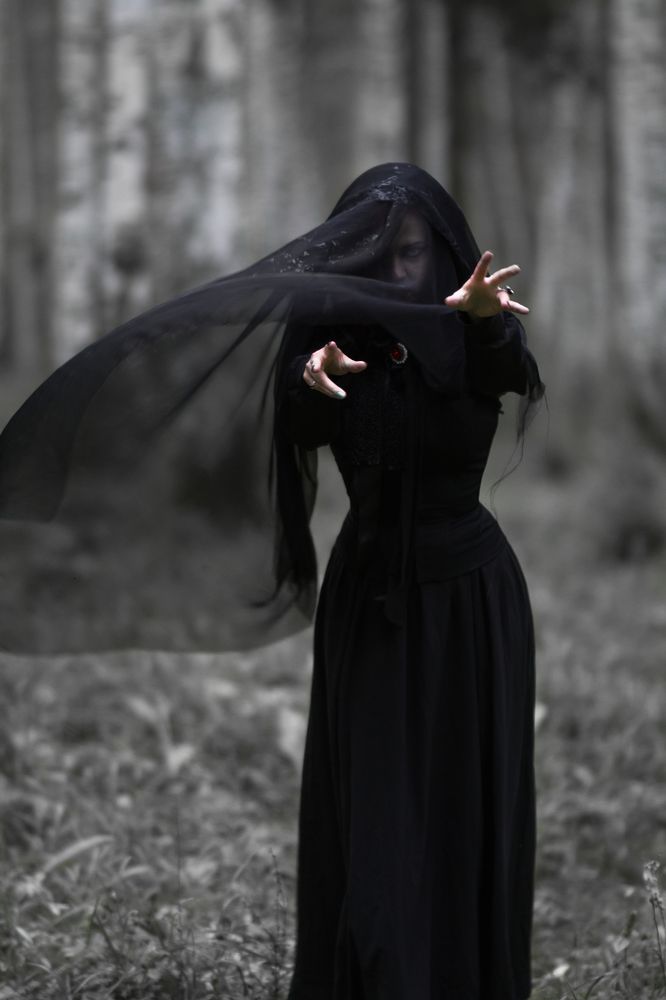 Witch forest