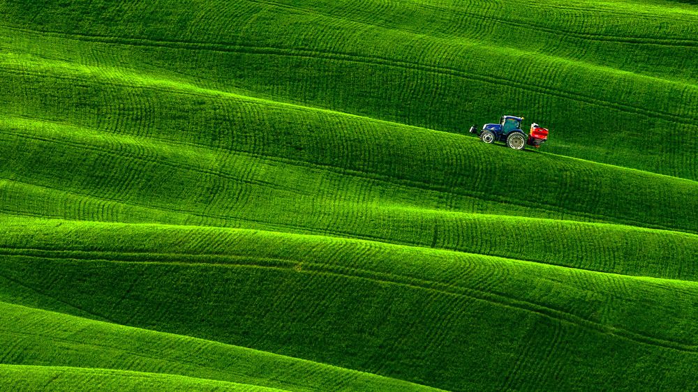 На гребне волны. Тоскана