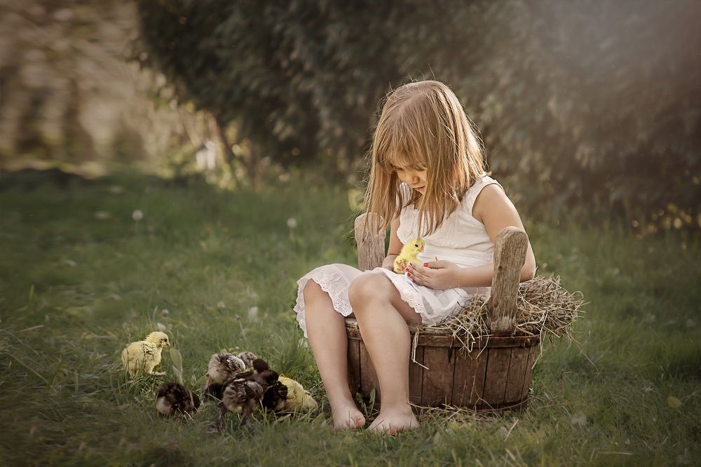 Цыпа, цыпа...