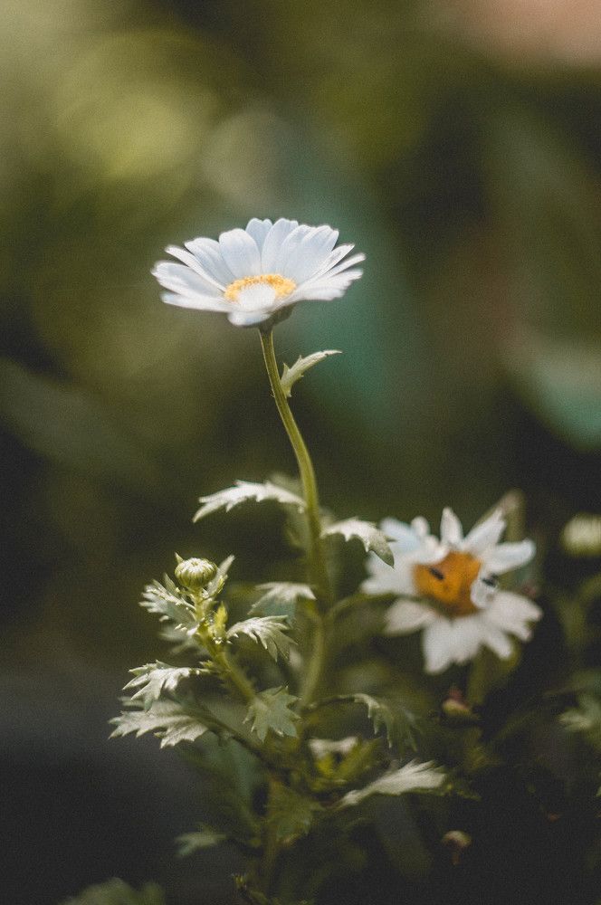 Перед закатом