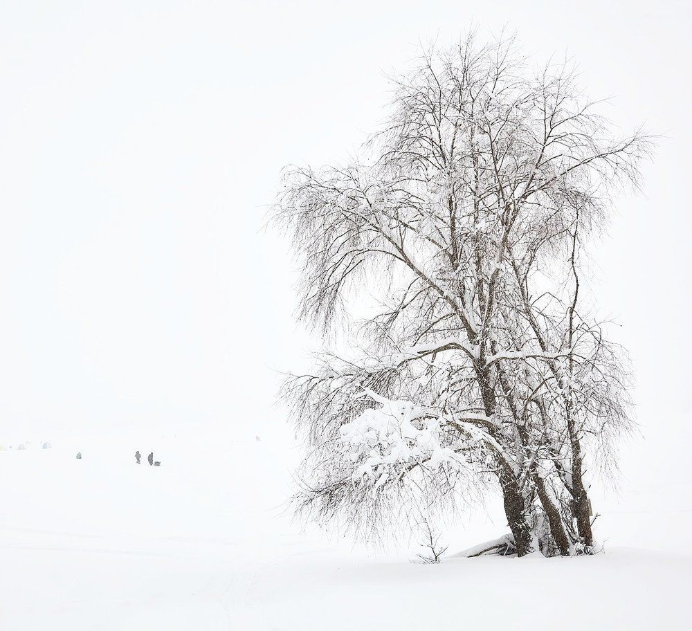 Зимний день