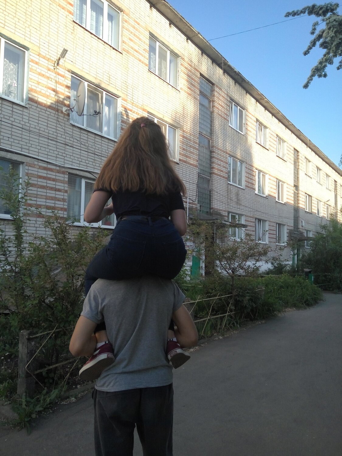 Коники