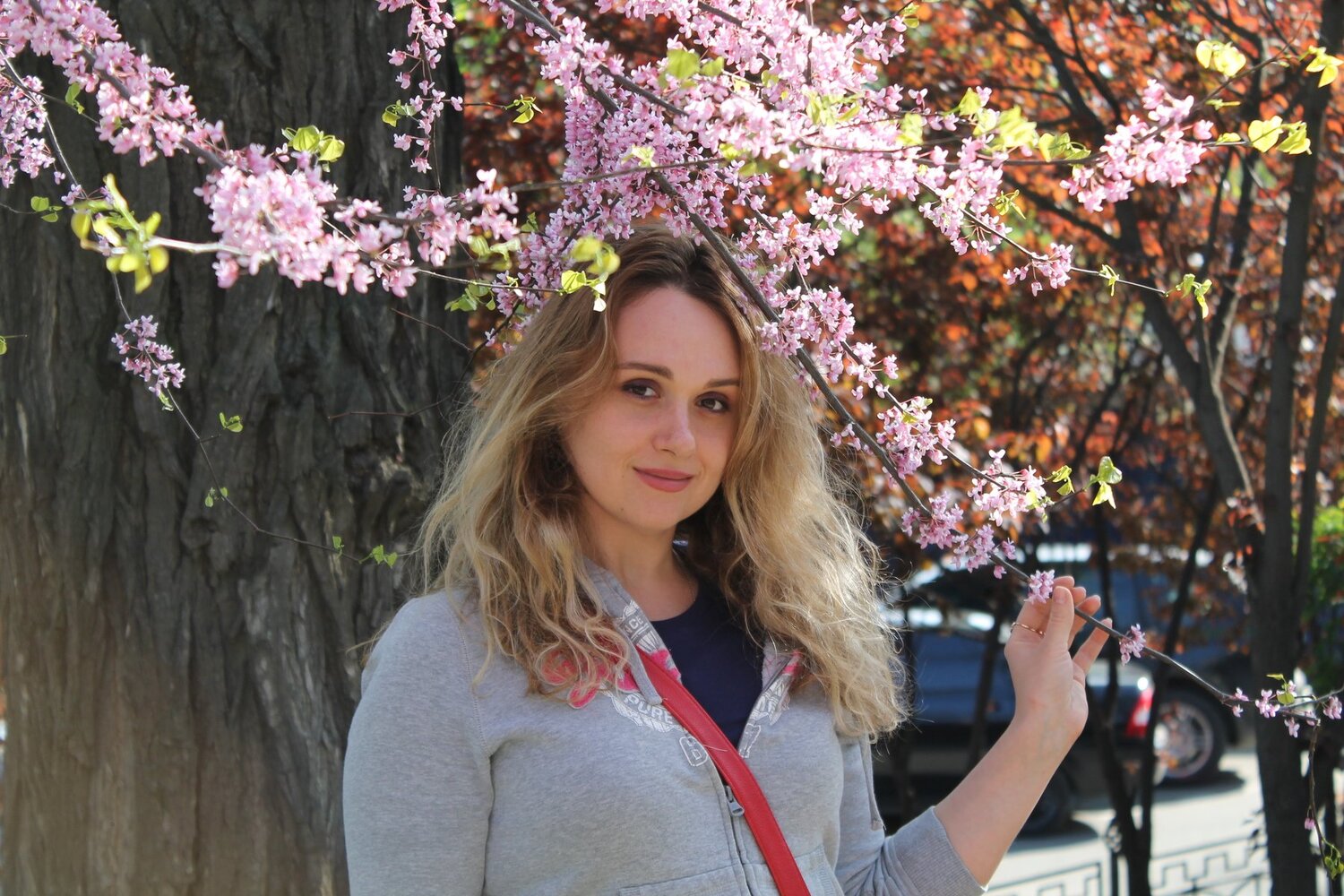 Photo #2327620