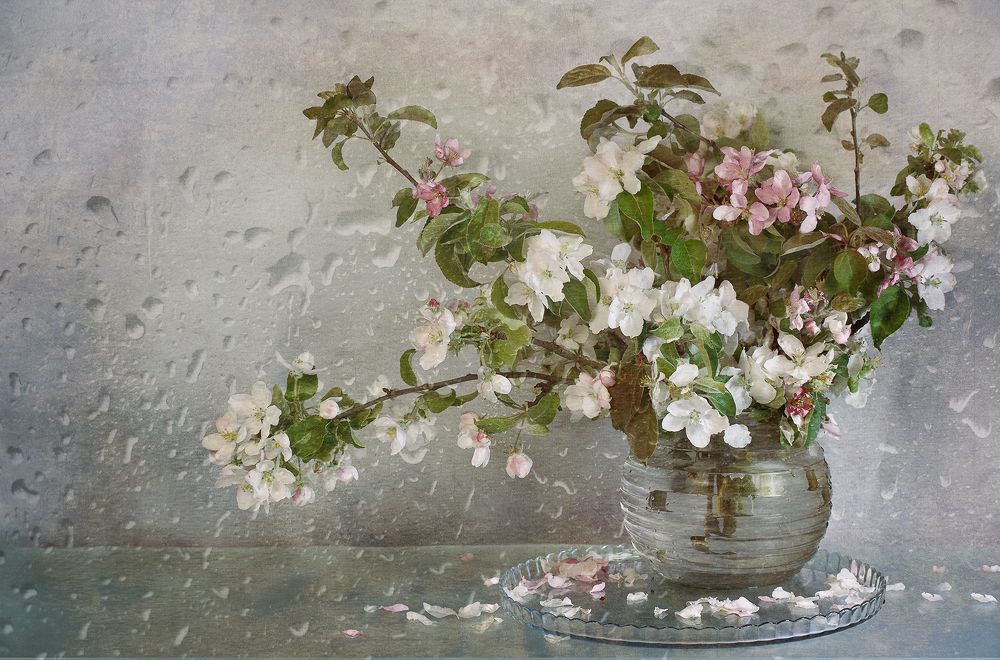 Яблони в цвету, какое чудо!