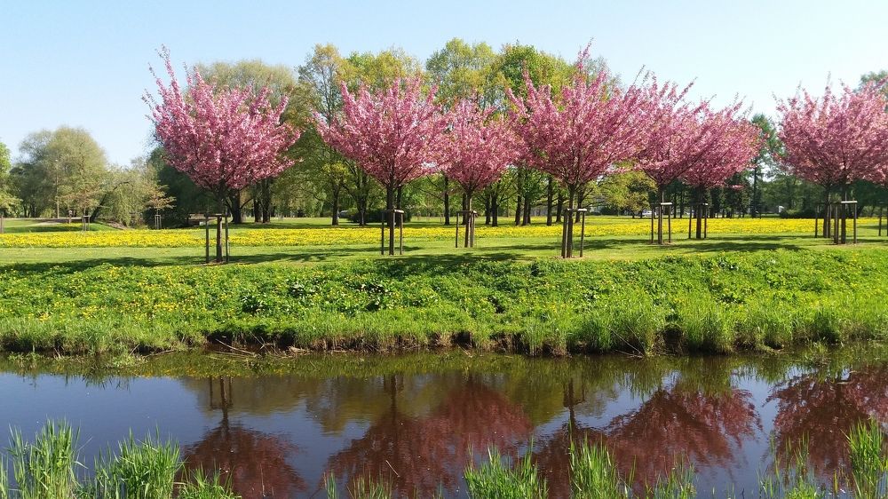 colorful park