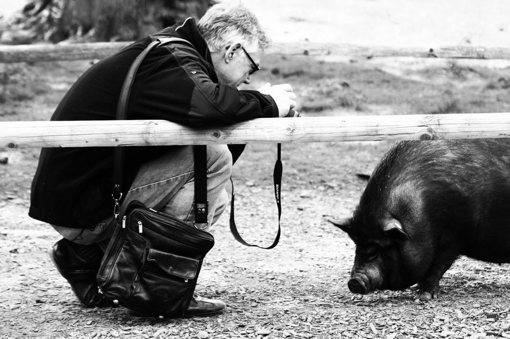 Съемка в заповеднике