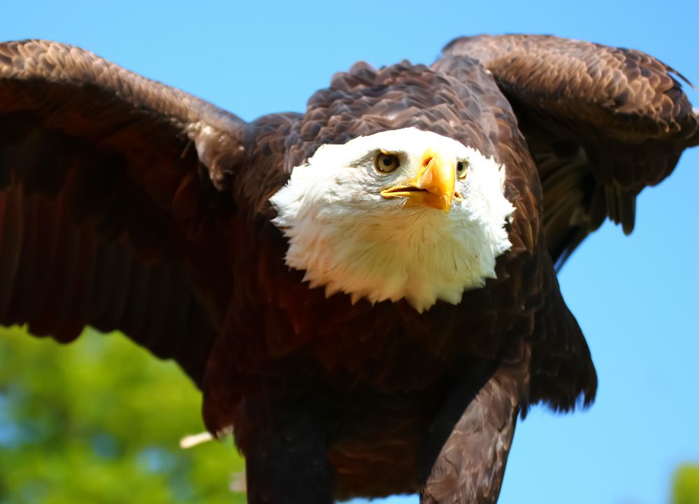 Photograph by Мария Ботникова