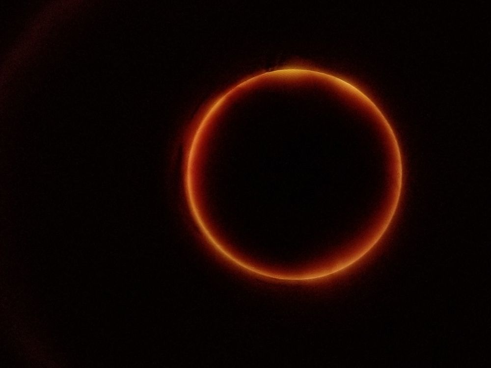 Photo #2328133
