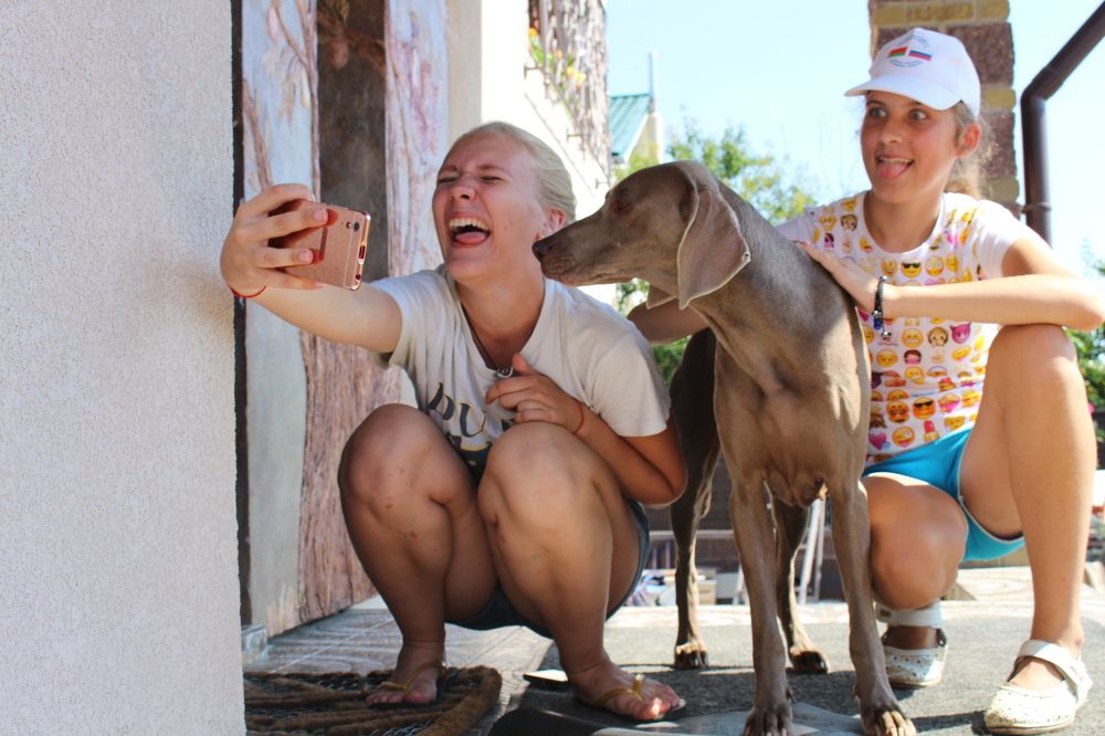 фото сессия с собакой