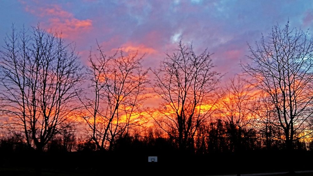 Sunrise