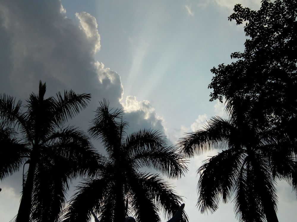 LIGHT OF HOPE