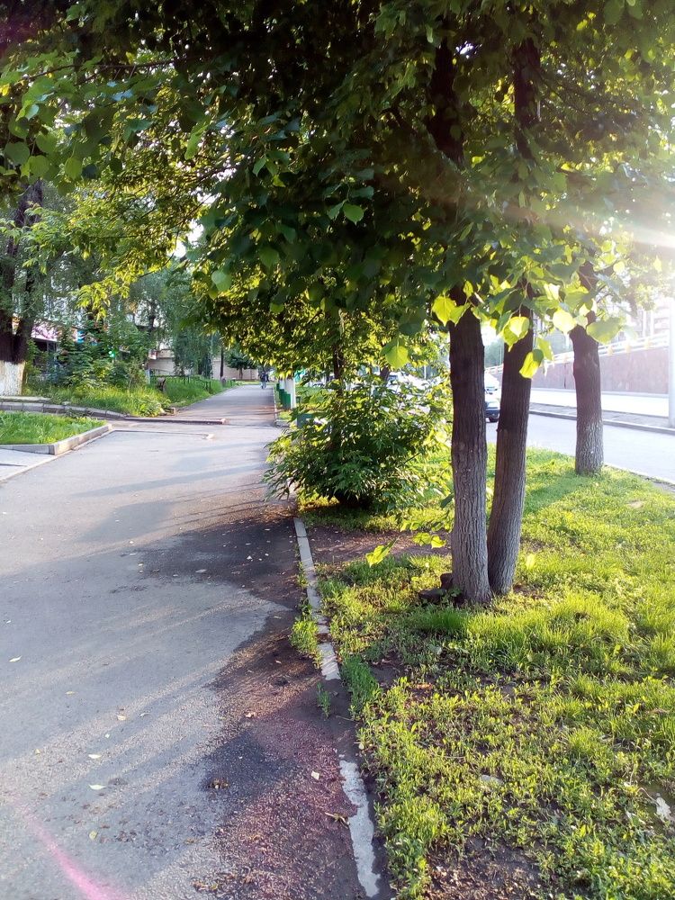 Наступление вечера