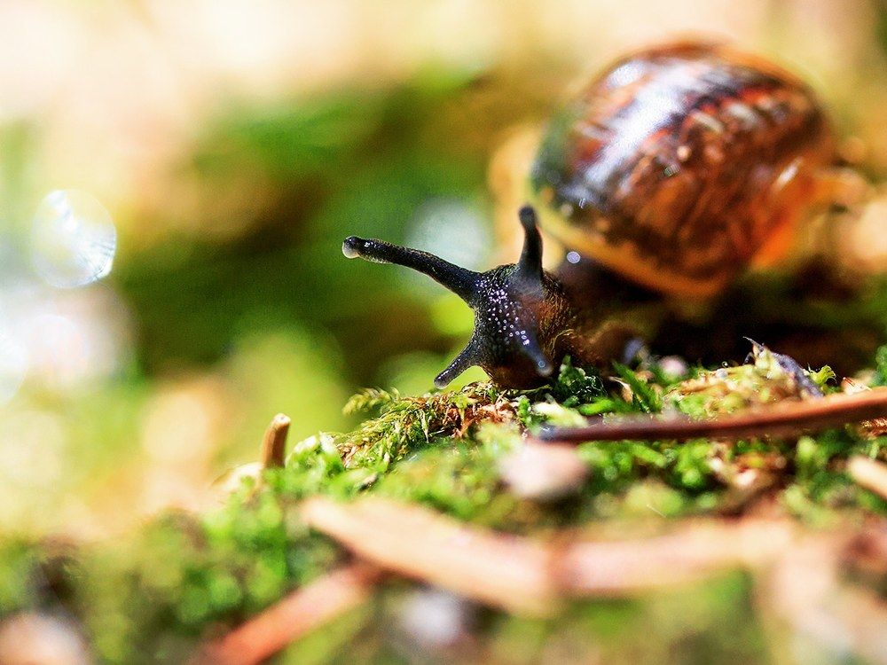 Photograph by Юлия