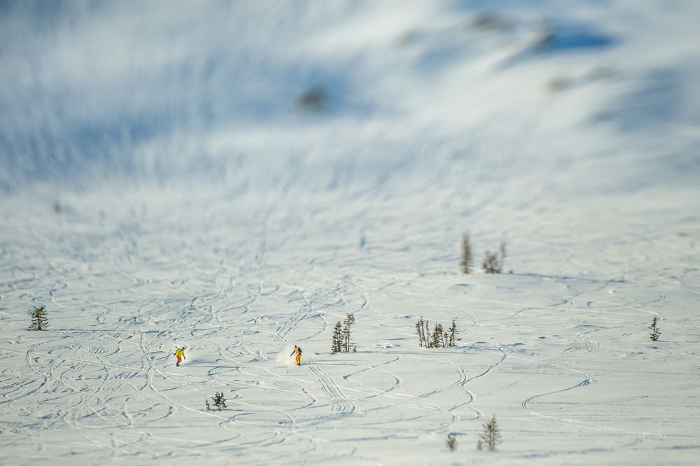 Желтая Двойка