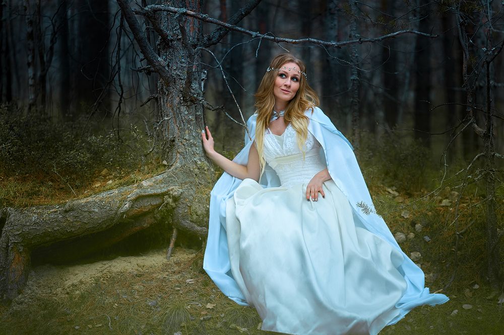 Сказочный лес