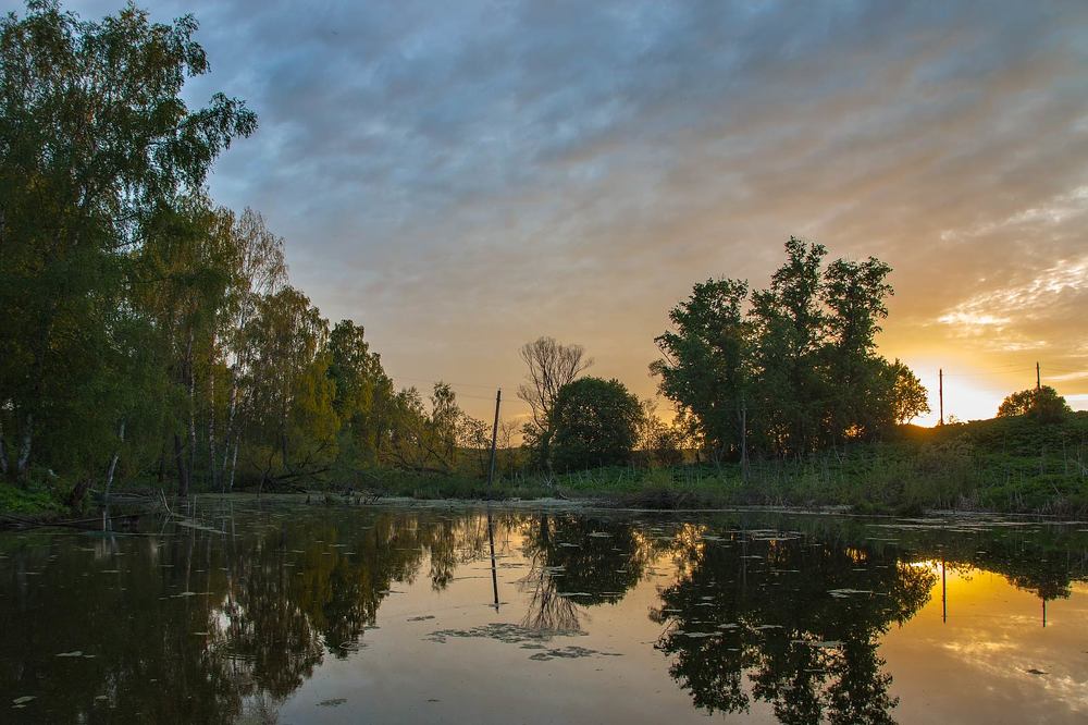 Деревенский пруд