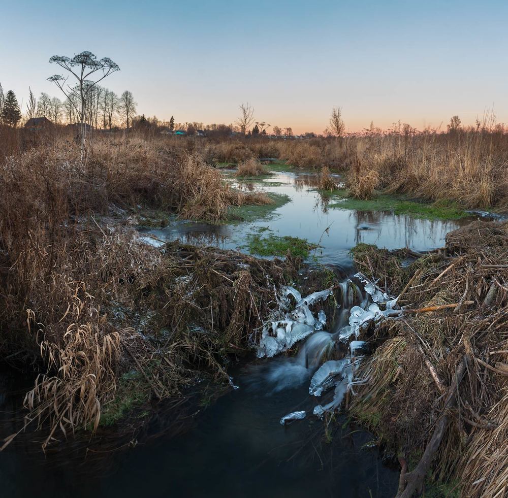 Бобровая плотина