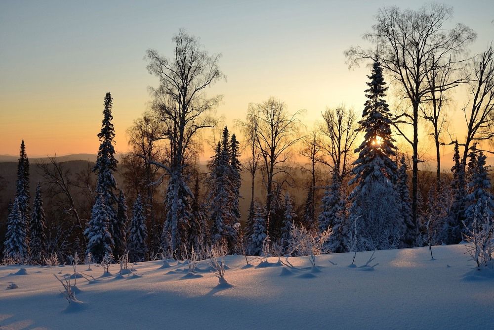 Photograph by Владимир Малевич