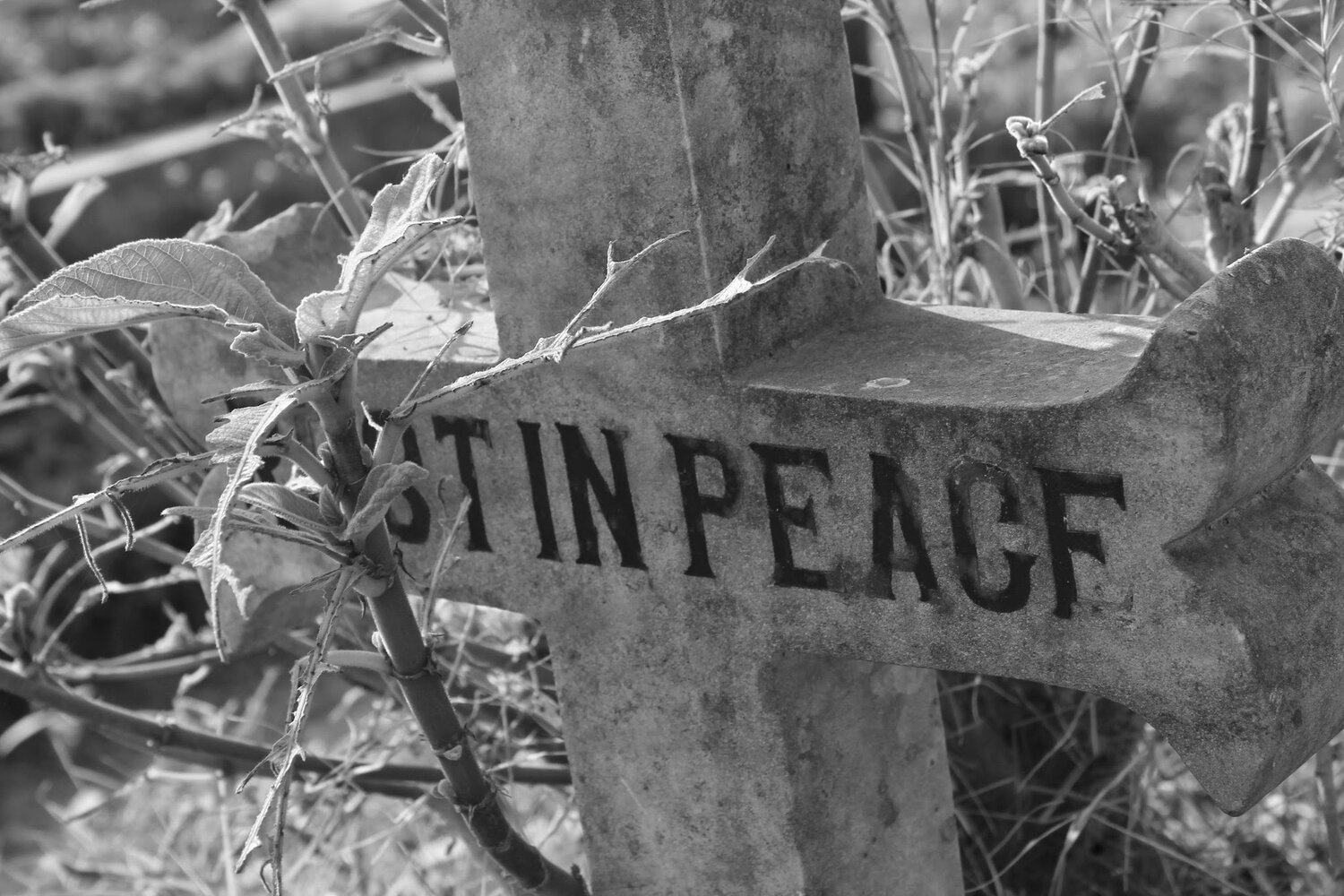 AT PEACE