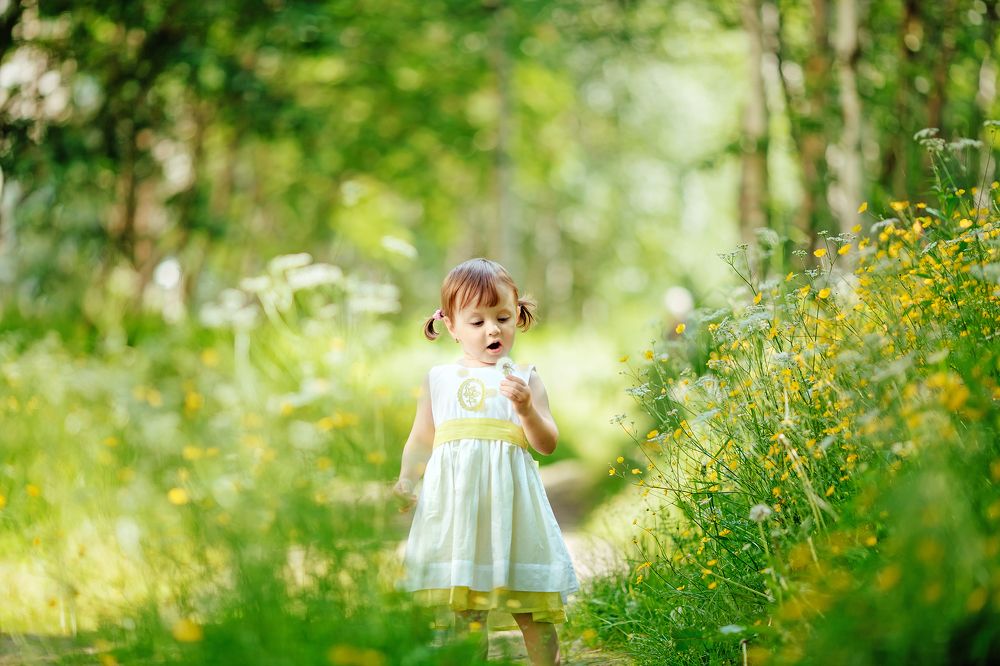 Лето-это маленькая жизнь