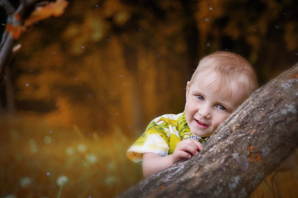 Искренность