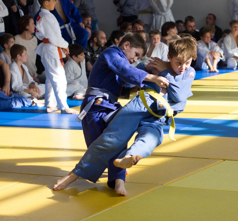 judo