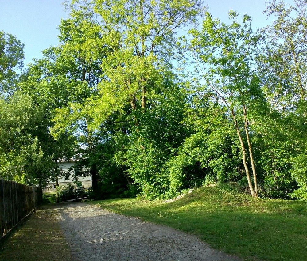 Green nature