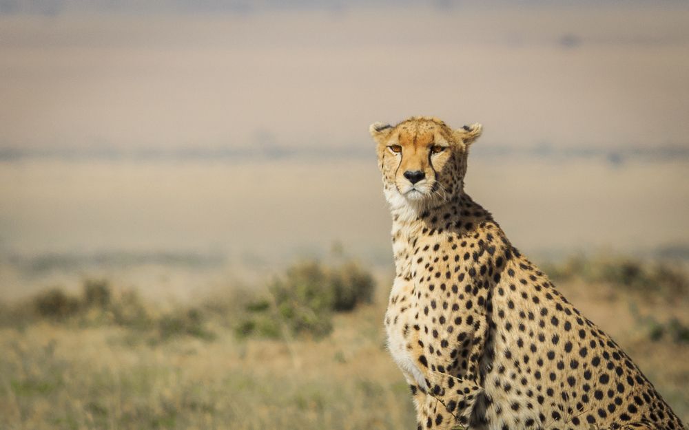 Caught him in the wild