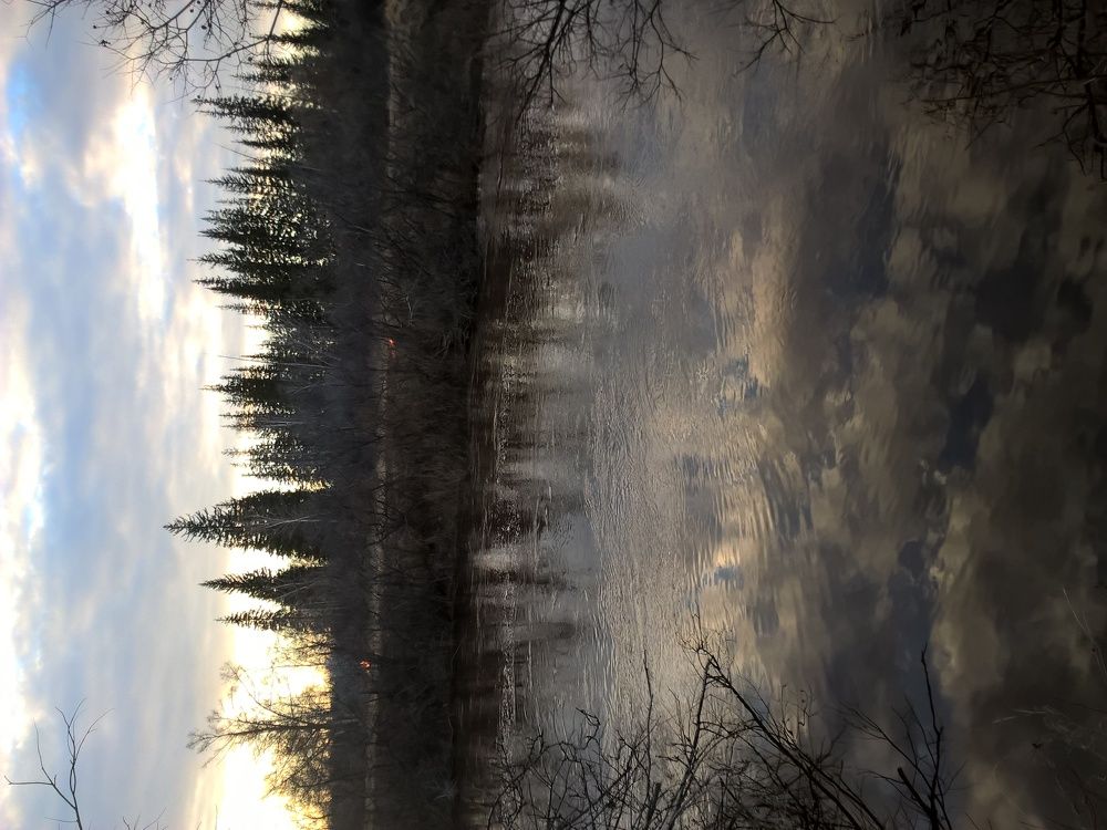 Весна