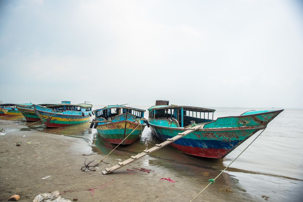 Livelihood