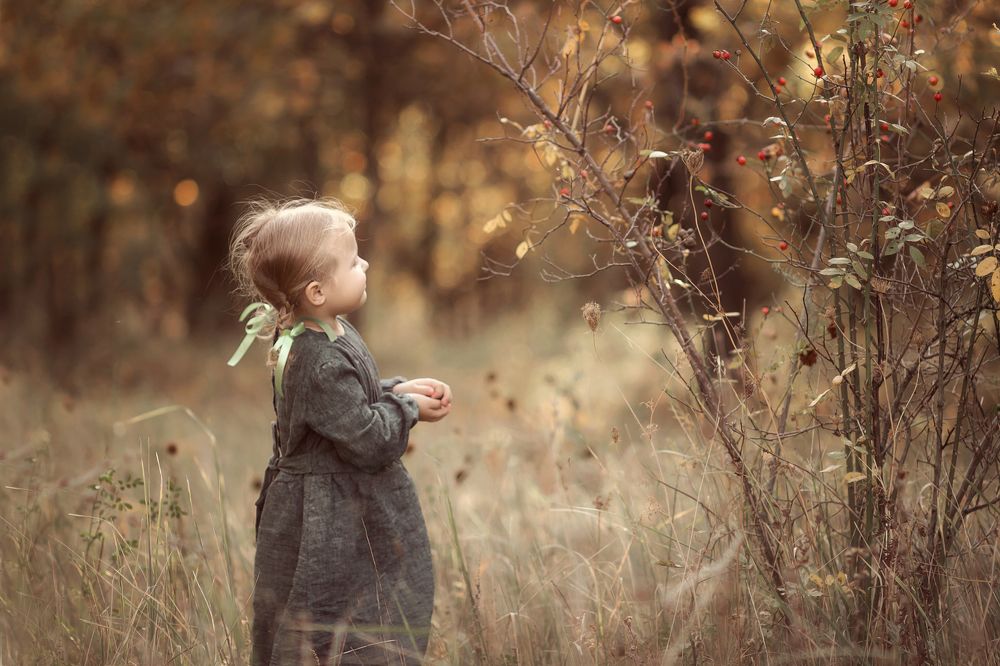 Один осенний тёплый день