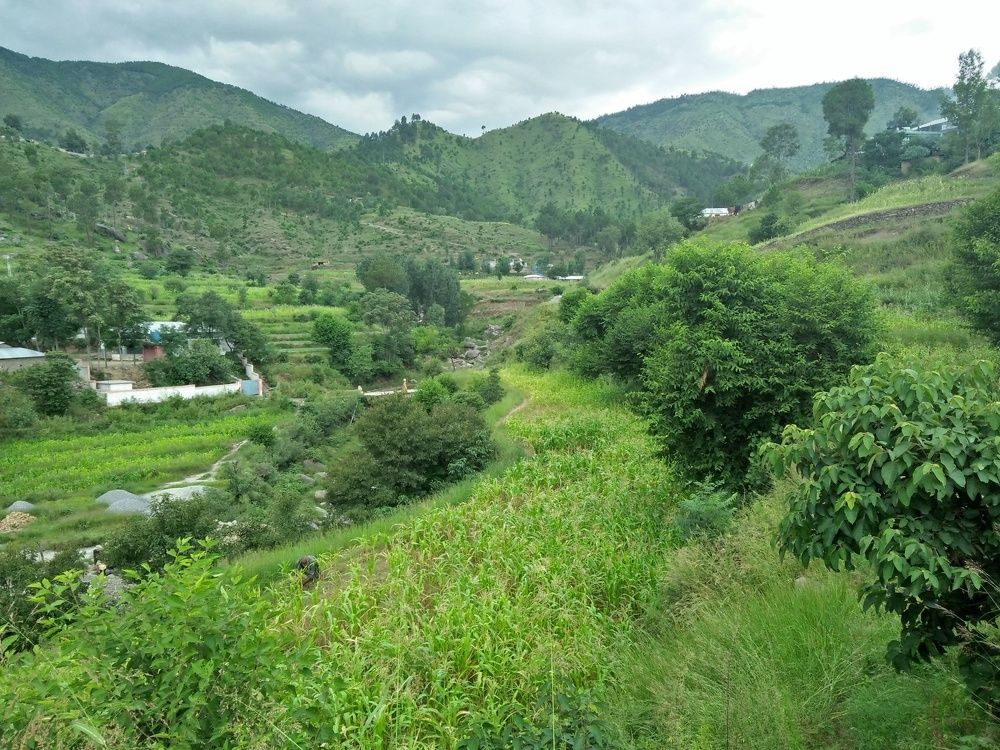 Beautifull veiw Tatar Syedan Mansehra Pakistan