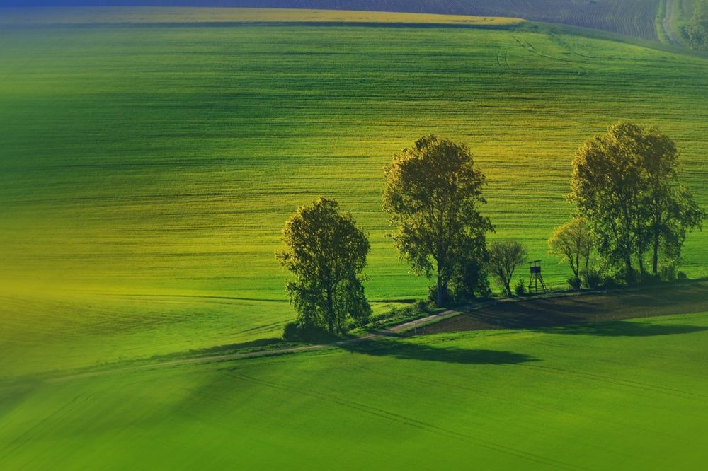 Ráno na našich poliach -Slovensko Liptov