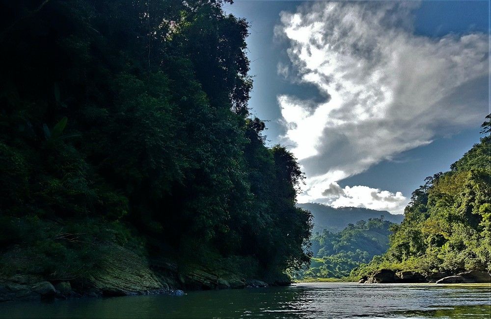 The silence of nature is very real. It surrounds you…you can feel it.