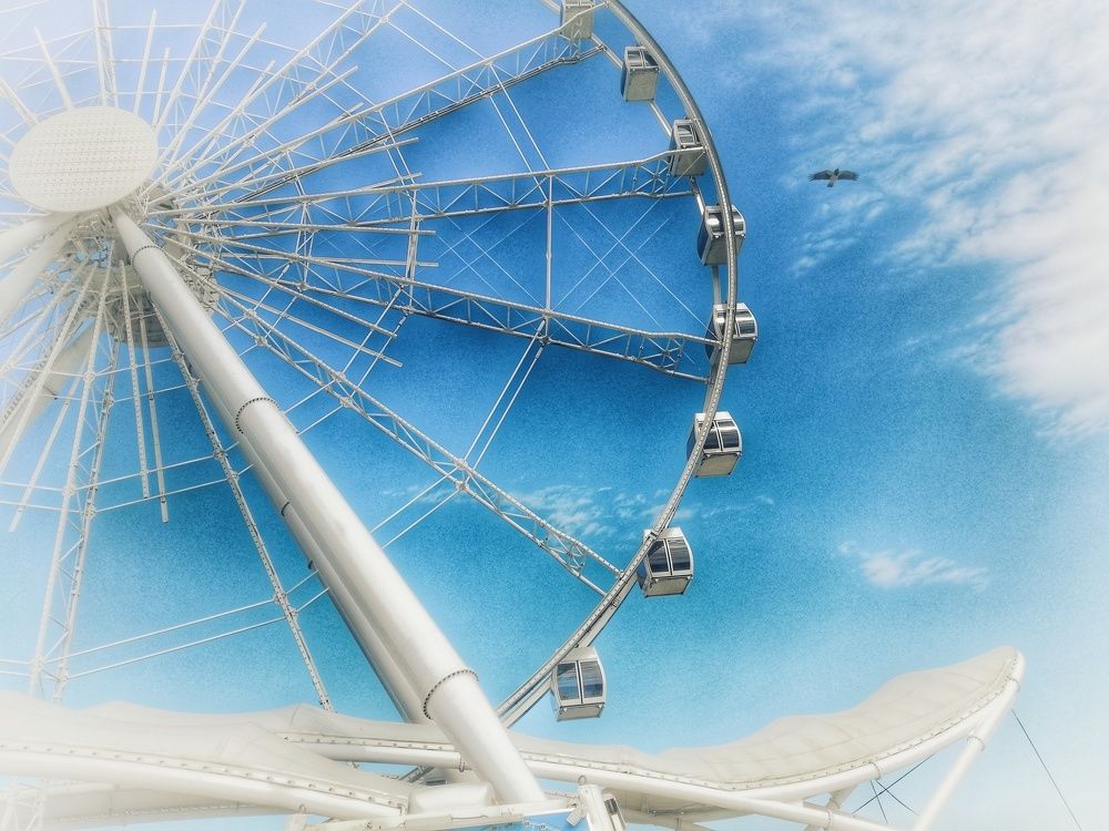 Фотография автора Sordia Tako