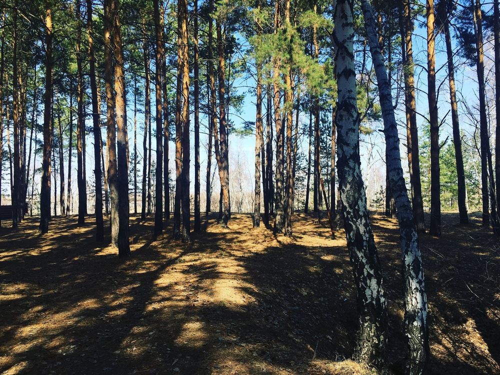 Пробуждение