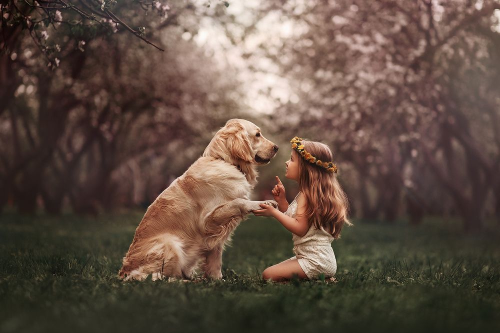 Photograph by Никитина Анна