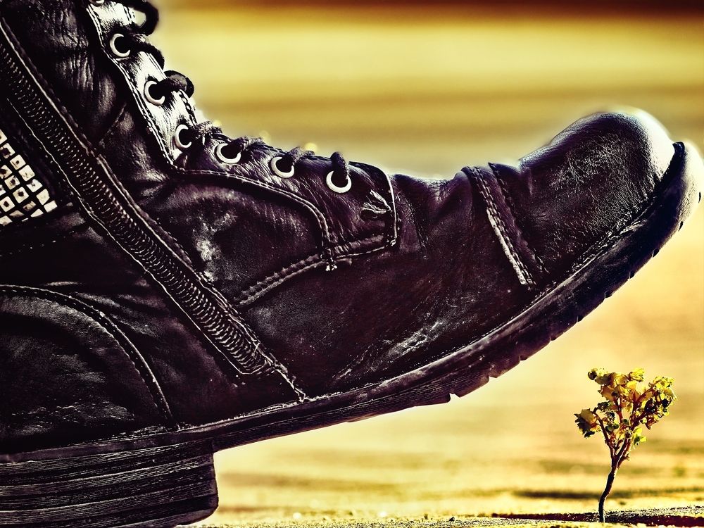 Photograph by Vladimir Barenboym