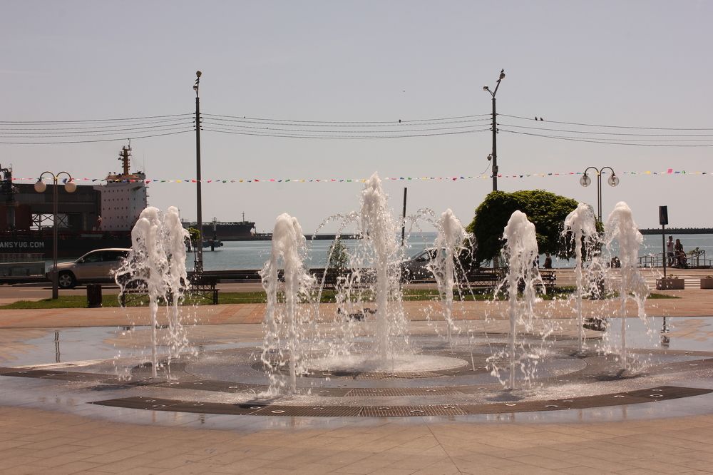 Водные грации...