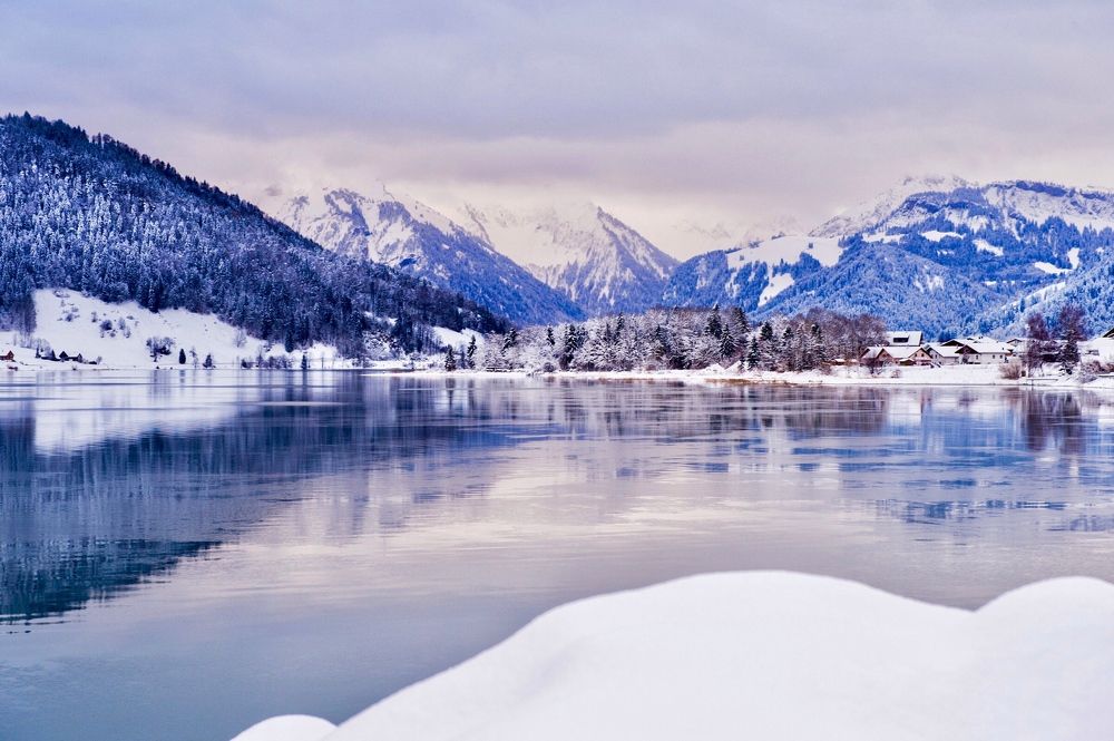 Зимнее отрадение