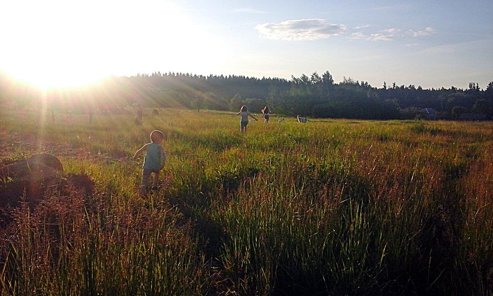 Photo #2333473