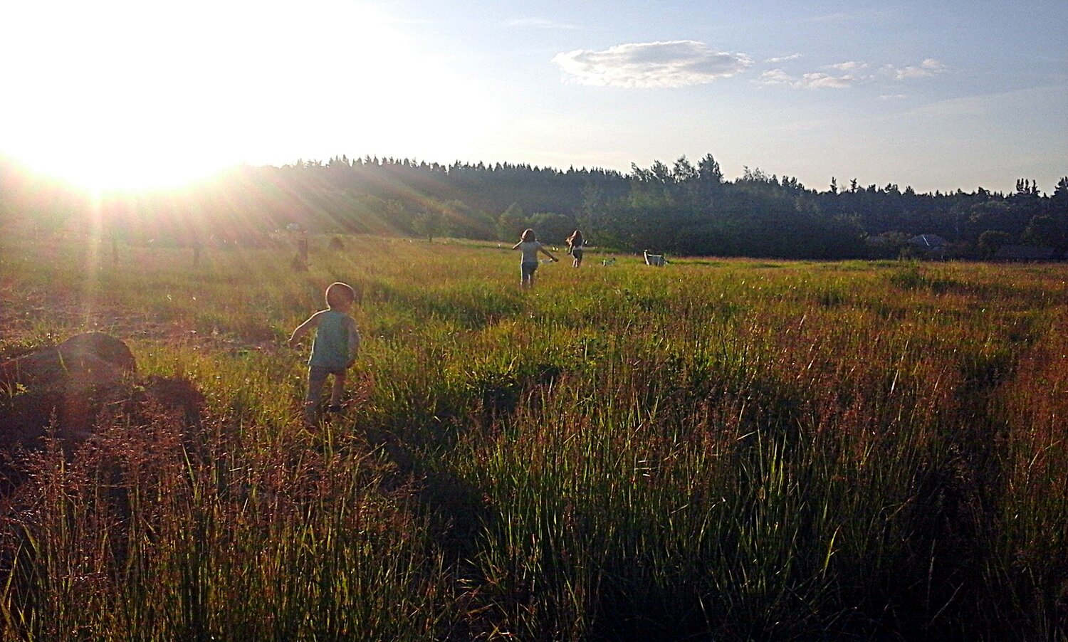 Photo #2333473