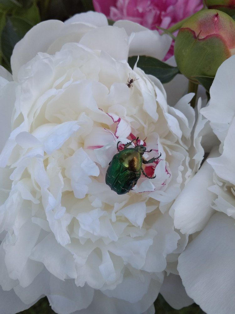 Photograph by Оксана