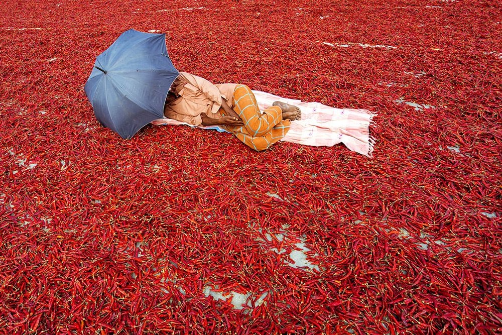 Peaceful Sleep on Red Hot Chillies.