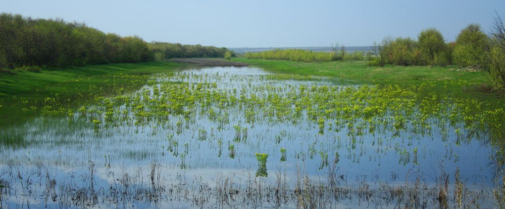 Майский день
