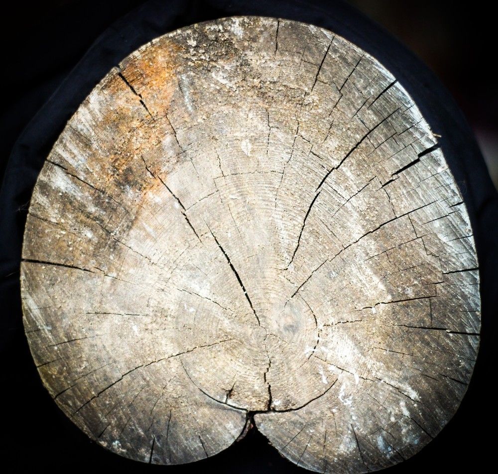 Вот такая любовь